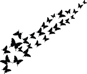 Flying Butterflies Silhouette, Black Butterfly Vector, Nature Insect Design, Abstract Butterfly Group, Flying Insect Art, Wildlife Pattern Illustration
Flying Butterflies Silhouette, Black Butterfly 