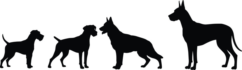 Silhouettes of Different Dog Breeds in Standing Pose, Pet Animal Vector Collection, Black Dogs on White Background, Guard and Companion Types