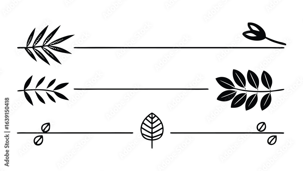 Poster vector art of set of three horizontal dividers with botanical elements and leaves, isolated on white