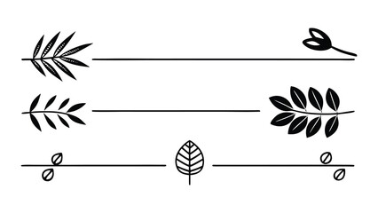 Vector art of set of three horizontal dividers with botanical elements and leaves, isolated on white background.