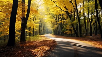 A quiet road winding through a dark autumn forest, yellow leaves glowing under warm sunlight, calm and serene atmosphere