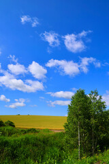 美瑛の大地と大空（北海道・美瑛町・びえいちょう）
