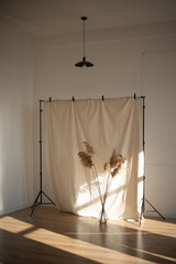 Minimal interior scene with beige fabric backdrop on stand and pampas grass in glass vase...