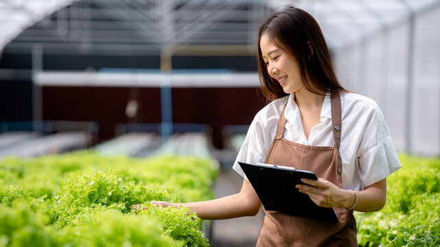 Asian Woman Inspecting Hydroponic Lettuce in Greenhouse Hydroponics Farming System, Smiling Young Farmer Examining Fresh Green Vegetables on Farm. Healthy Food Concept