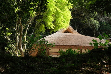 春の熊野古道。日本の古き道の景色。
Kumano Kodo. Japanese ancient pilgrimages trails,world heritage, Japan. 