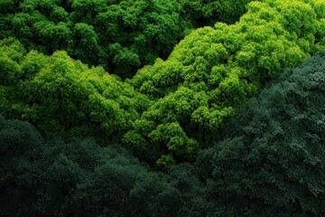 Vibrant abstract organic green wallpaper background showcasing lush foliage transitions from light to deep green colors in a seamless pattern at various angles