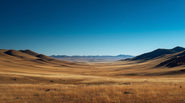 Clear blue sky above grassy steppe in Mongolia