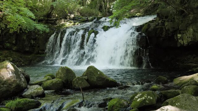 Mystical Waterfall and Mossy Rocks Flowing through a Virgin Forest  |  Tateshina Otaki Waterfall, Nagano, Japan