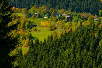 Şavşat Karag&ouml;l - Artvin. It is 25 kilometers away from Şavşat district and is within the Sahara Karag&ouml;l National Park.