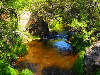 Royal Fisheries Path in San Ildefonso, Segovia, Spain – Nature and Heritage