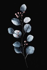 Delicate branch with blue-toned leaves and small pink buds on a solid black background, evoking simplicity and elegance