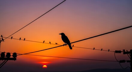 Silhouette of Crow on Wire at Sunset, Orange Sky.