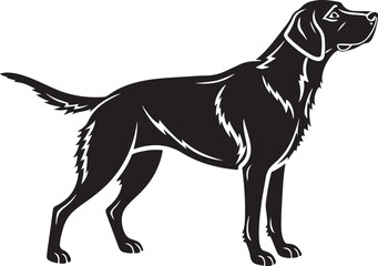 Black silhouette of a pointer dog with textured fur detail