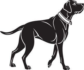Black silhouette of a pointer dog with a collar white background