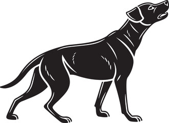 Black silhouette of a pointer dog howling animal canine