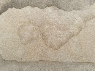 Old stained particle board texture, brownish gray particle board background with full frame. Minimal brown design space background. Brown particle board texture with copy space.