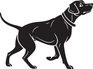 Pointer dog silhouette walking with collar animal canine