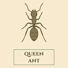 Queen Ant Identification Card — Brown Colony Matriarch