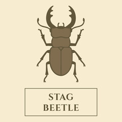 Stag Beetle Identification Card — Horned Beetle with Large Mandibles
