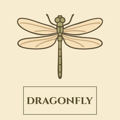 Dragonfly Identification Card — Transparent Winged Odonate