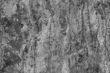 Detailed close up grayscale texture of weathered wood grain with vertical lines and natural...