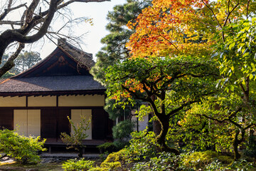 Traditional Japanese pavilion in Kyoto, Japan, surrounded by autumn trees under daylight in a seasonal garden landscape