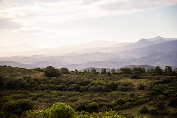 Obraz premium Panoramic view of mountains and wilderness in South Africa