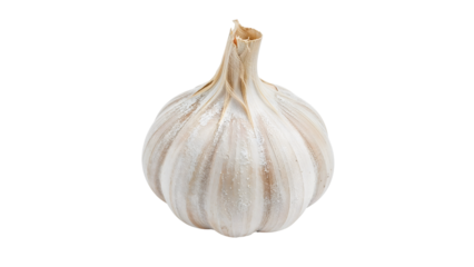 Whole garlic bulb isolated on the transparent background, fresh organic ingredient for cooking, natural food and health benefits