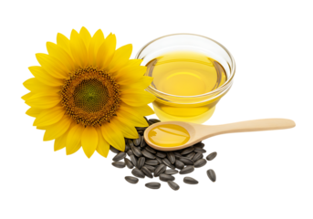 A still life composition featuring a bright yellow sunflower, a small glass bowl of sunflower oil, a wooden spoon with oil, and a pile of sunflower seeds. Isolated on transparent background

