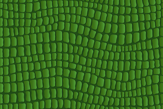 Aligator, crocodile, dinosaur and snake reptile skin pattern of animal leather background