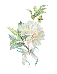 Watercolor bouquet with milk peony summer flower isolated on white background. Hand-drawn floral plant with green leaves. Clipart for florist or wedding invite celebration card. Wallpaper wrapping