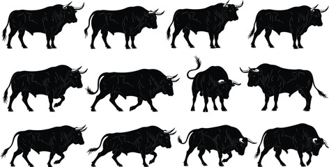 Black silhouette bull set, standing walking running positions, vector illustration, strong muscular cattle, aggressive horned animal, Spanish fighting bull artwork, isolated