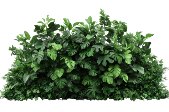 Lush green tropical plants creating a vibrant and dense foliage backdrop for natural landscapes or interior design projects