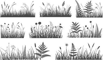 Wild grass and plant silhouettes, meadow foliage, botanical nature vector set with herbs, ferns, flowers, and field vegetation illustration