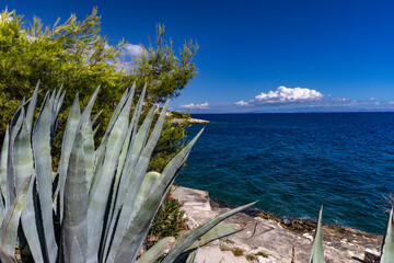 Coastal path to Bulicicev beach on Ciovo island in Croatia, azure water, empty beaches, beaches hidden in the rocks Croatia