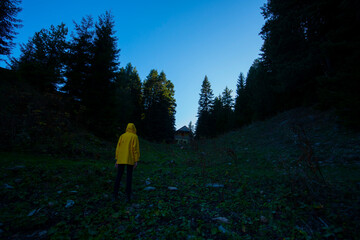 Fototapeta premium Şavşat (Georgian: შავშეთი, romanized: shavsheti) is a town in Artvin Province in the Black Sea region