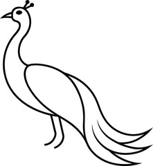 Fototapeta premium vector illustration of an Peacock