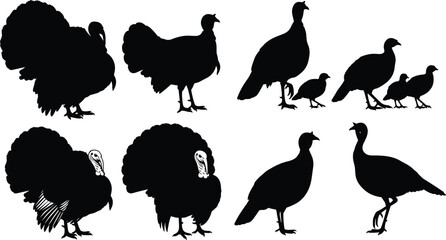 Silhouettes of turkeys and guinea fowl, various poses, bird shapes, poultry animals, farm birds, domestic fowl, wildlife silhouettes, vector art, black outlines, animal illustrations