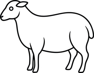 vector illustration of sheep