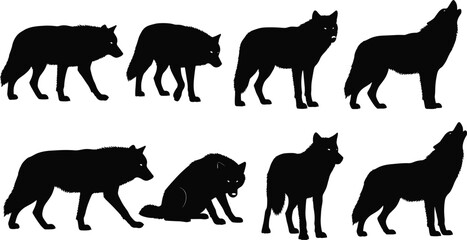 Wild wolf silhouette collection, walking wolf illustration, sitting wolf clipart, howling wolf design, vector wildlife animal graphic, black wolf shapes