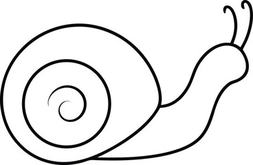 snail on a white background