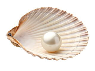 Single Pearl in Seashell: Luxury, Elegance, and Purity Concept on transparent background
