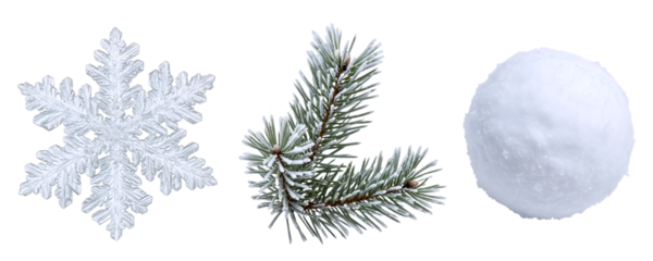 A set of three winter elements: a large snowflake, a snow-covered pine branch, and a perfectly round snowball. This collection captures the crisp, clean feeling of a fresh snowfall.