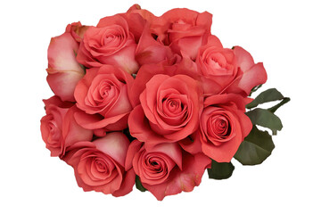 Naklejka premium Beautiful bouquet of vibrant red roses arranged elegantly on a transparent background, perfect for various creative uses or digital projects
