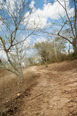 Editorial: A rustic dirt road with tire tracks curves through the dry, arid landscape of the Brazilian Sertao in Pernambuco.