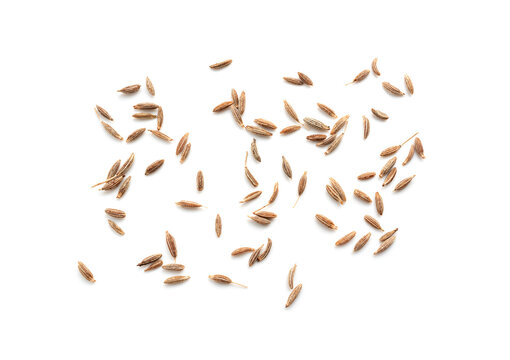 Cumin seed isolated. Caraway or fennel dry seeds close up, zeera macro, Indian cumin or zira grains