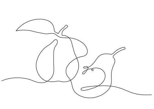 Two graphic simplified pears with leaf in one line in vector