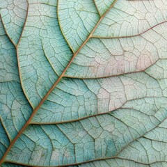 Obraz premium Close-up Teal Leaf Vein Texture; Botanical Background; Nature Design