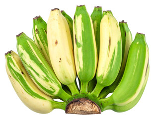 Half bunch of variegated bananas on isolated white background