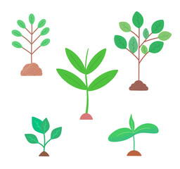 sprouts, plants, stickers